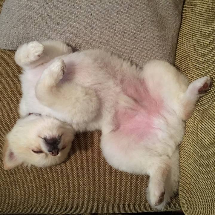 D770cbf1 df9e 41c6 8610 a369777f524f 1541324352099