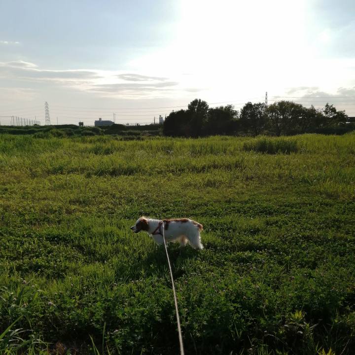 D770f72f 7688 4c18 97d9 9f4aba854589 1592913040998