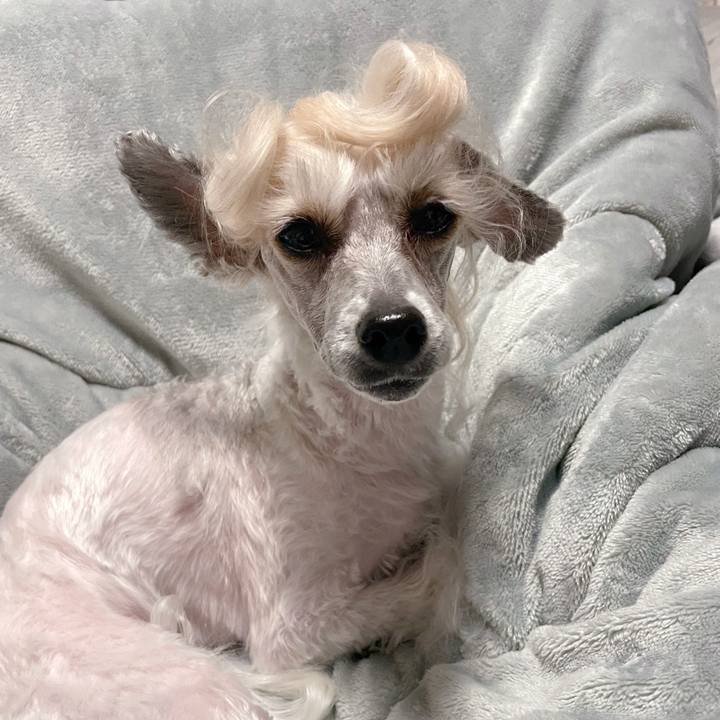 D7715bb0 dddb 46f4 9b84 c4306af8402a 1769396373669