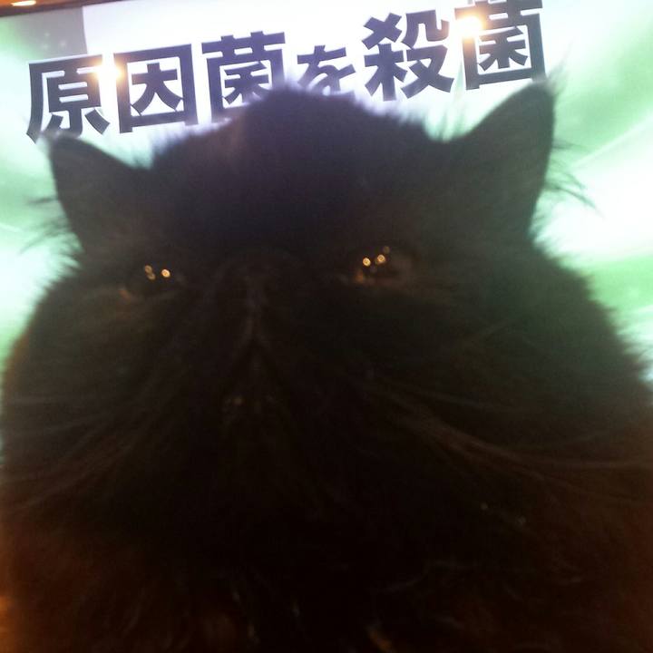 D77175d0 fd8a 40e9 be4a 020a1fcdead9 1520948193984