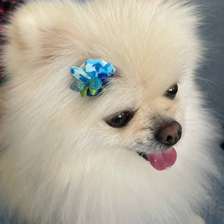 D771d6a9 346e 42a3 85ea 24324e8821e3 1632198607844