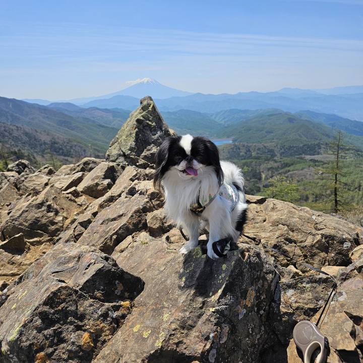 D771e702 74db 476a a185 dfd326a99b42 1683715894986