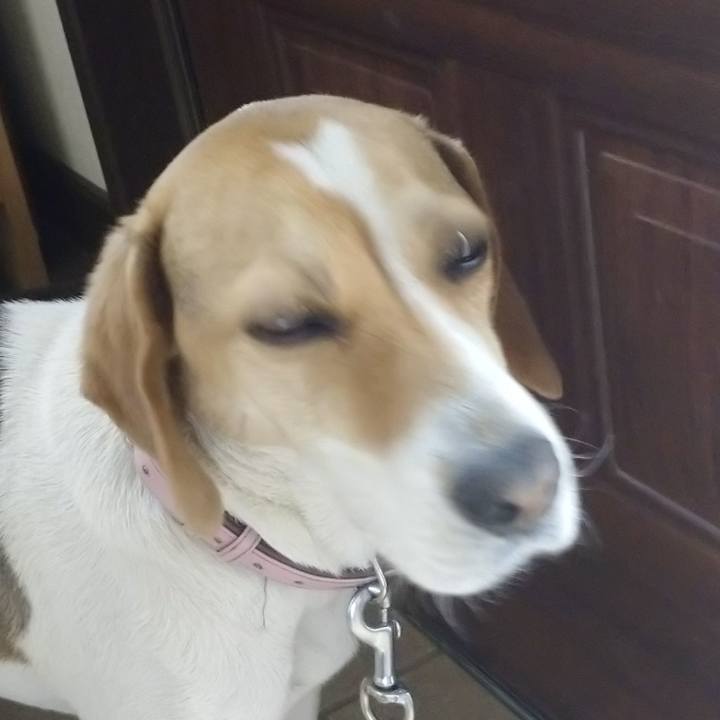 D771ec61 bcfb 4b52 9baf c97231fbbe66 1589630483387