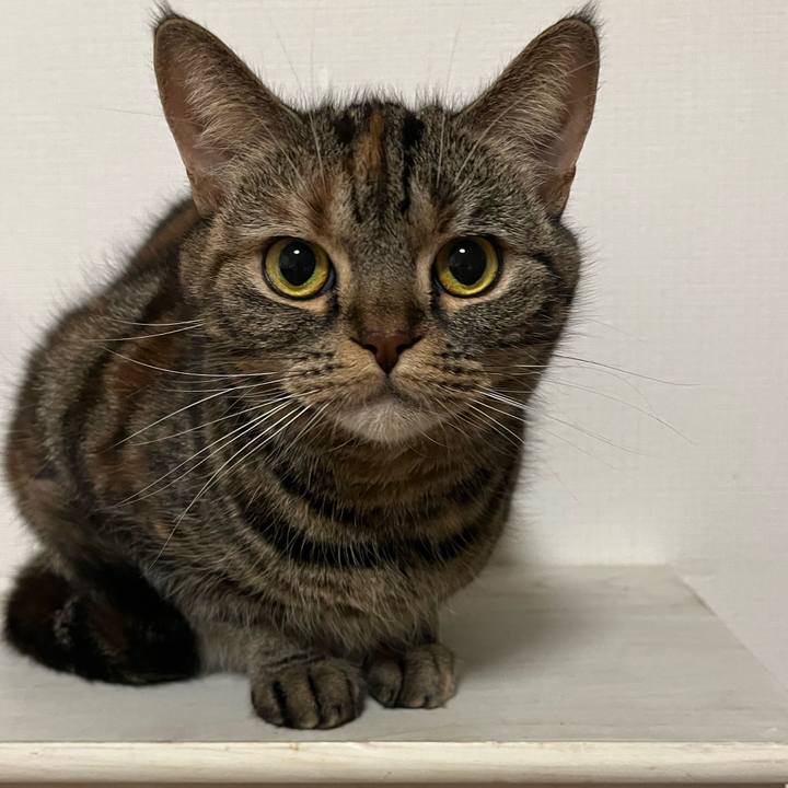 D771ed36 0aec 4349 a12e e2850d68acb8 1675351727614