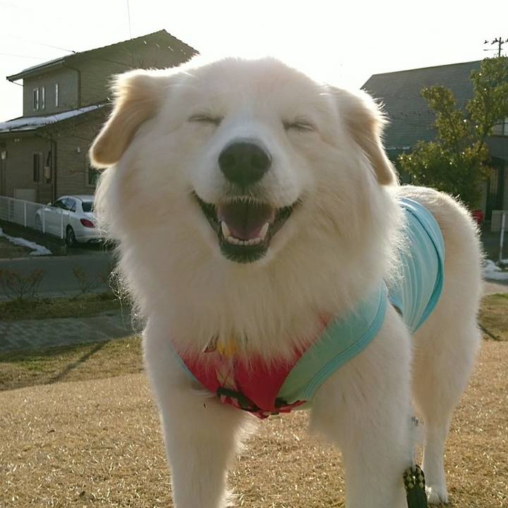 D771fb9f fadb 4651 bbdc becefa01a6ea 1518310163637