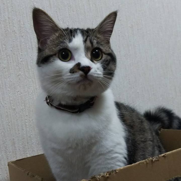 D771fd42 deb4 4268 b534 f8edd6b251f6 1622545130859