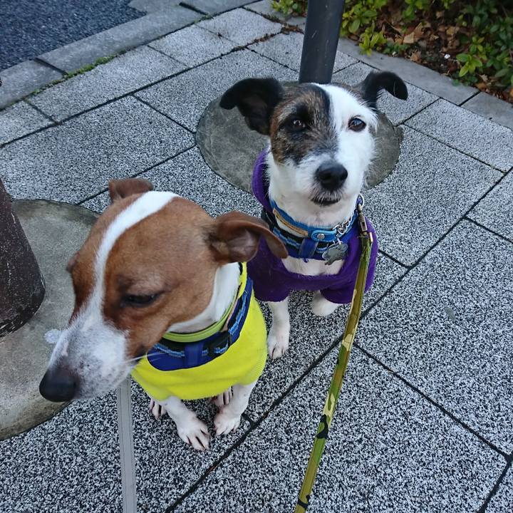 D7720751 b7d9 48f0 b8d0 5744480f6f45 1550612951529