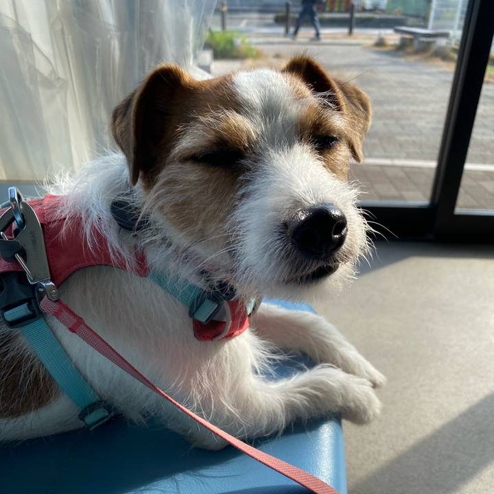 D7721856 669d 4127 b9dd dd1be967480b 1705110729701