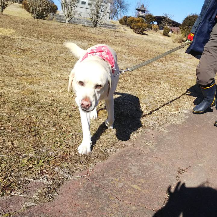 D772557e ffca 45c1 91e6 e61cc31b1ab7 1546581449398