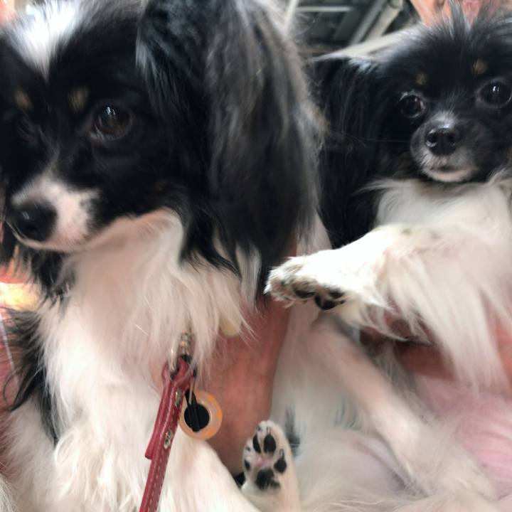 D7728ced 8e68 470a a3c3 2855a5a2b3df 1517728604848