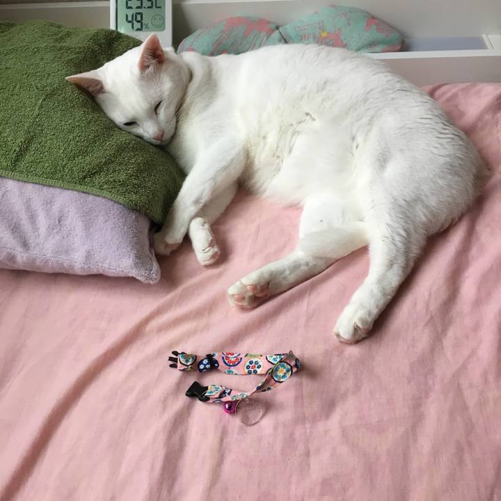 D772c366 ee6f 4361 9e88 ea1e23f5dc78 1526439972594