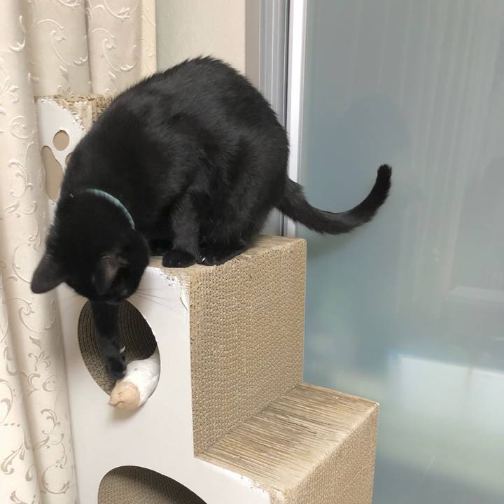 D772d2ad d2db 4631 9d18 9290433c7690 1629286814478