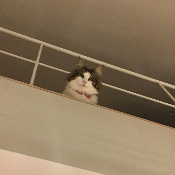 D772e452 8df6 4ec1 857b 03e52d9c196d 1513162680078