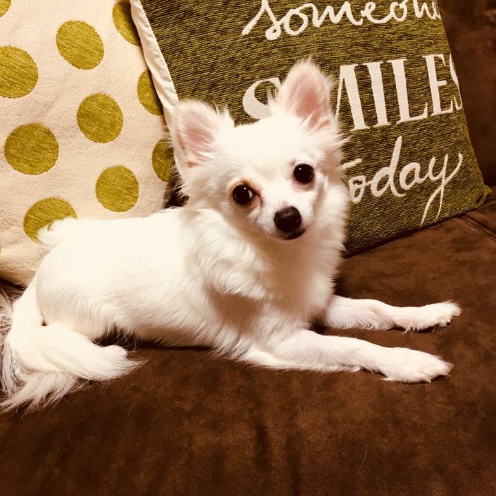 D7730058 012f 4888 a609 a4b2b8007c4c 1512940530580