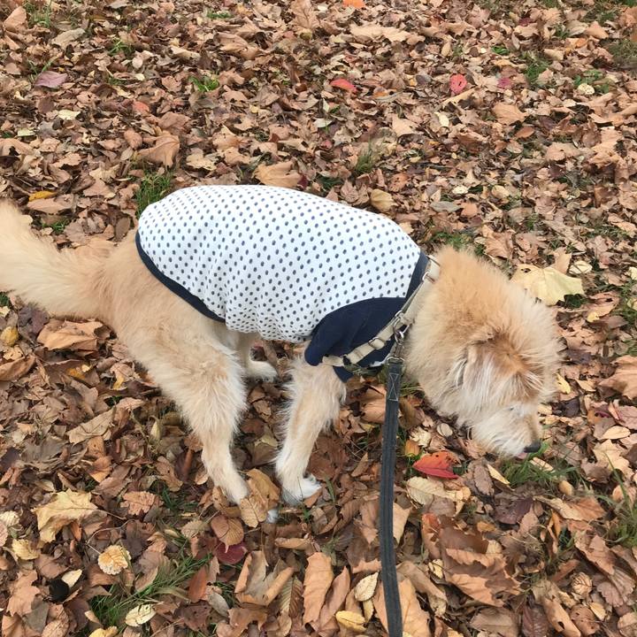 D7732a75 a812 4a57 a4cd 5600cb629ea6 1607590487743