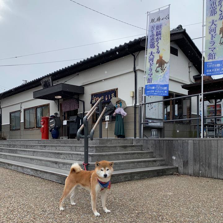 D77335f3 5f16 4f47 be43 27f460ec7106 1581325662968