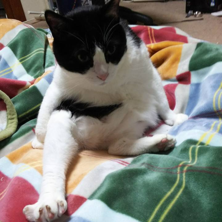 D7735f68 2f09 49bd a1e7 d42555a59621 1525951339407