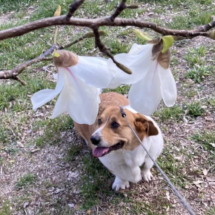 D773a58f d6ba 4093 b980 3abc3c080bf6 1711066335710