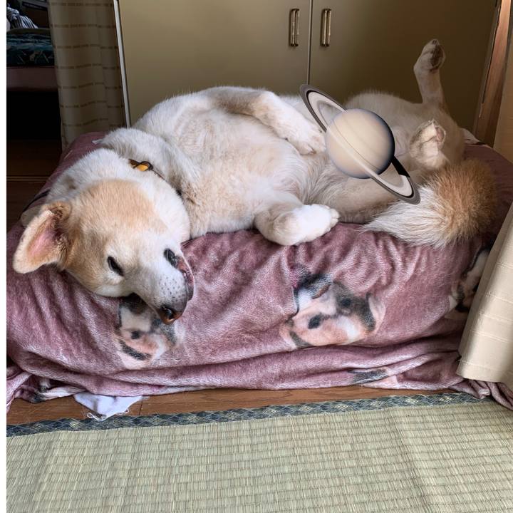 D773b17c 21d8 4eb5 a1b7 ca1712f6b498 1625967946876