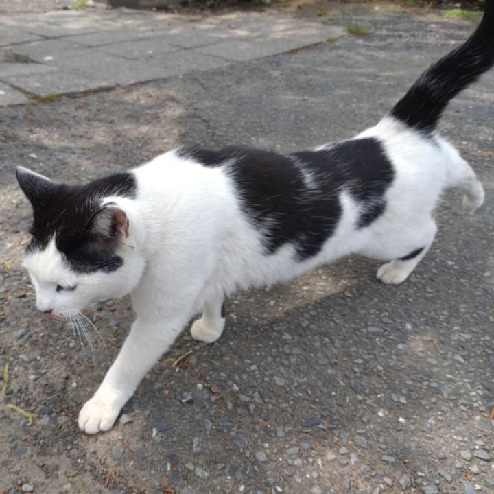 D773c75a 3ac4 4cfa a9ef a02229c8af14 1744950289984