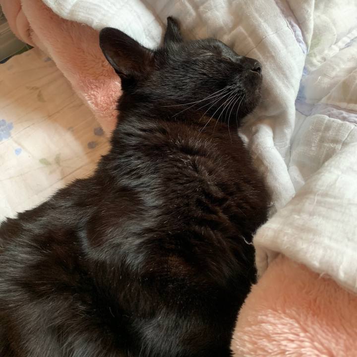 D773d061 42ae 4864 83da a82cfde0b3a4 1557883949737