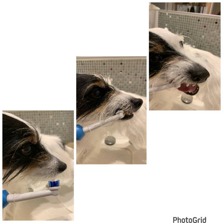 D773d354 df2d 49b7 b0d5 5dc4fdda4732 1680438200291