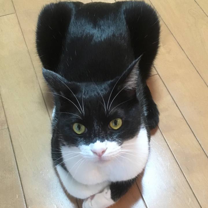 D773e131 78bf 4efd a764 0e280bcc0fac 1548146426282