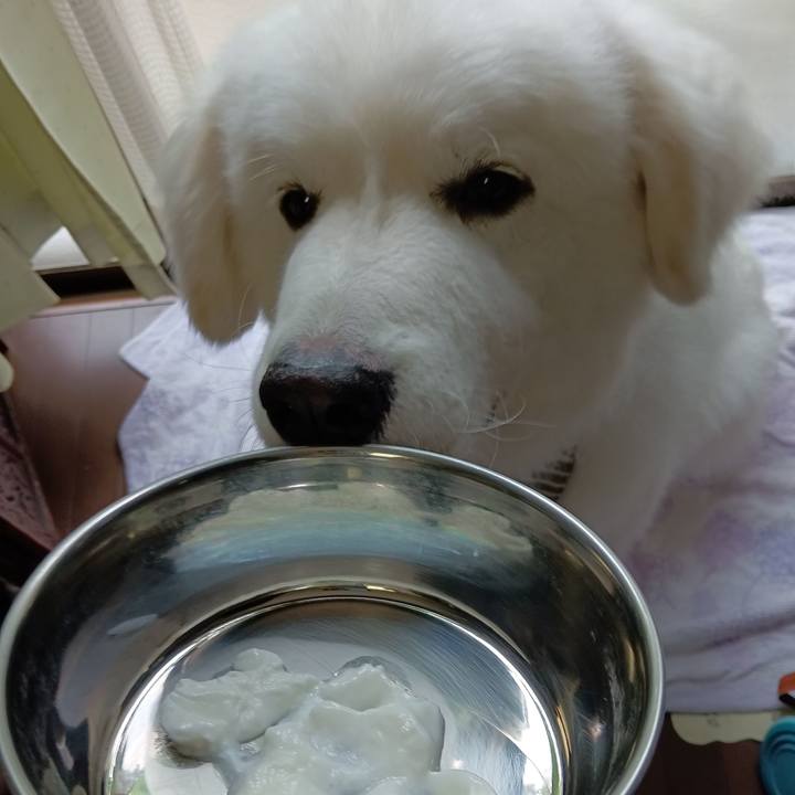 D7741ed0 358e 4b38 8f0c 7259f19dd5a7 1721095003724