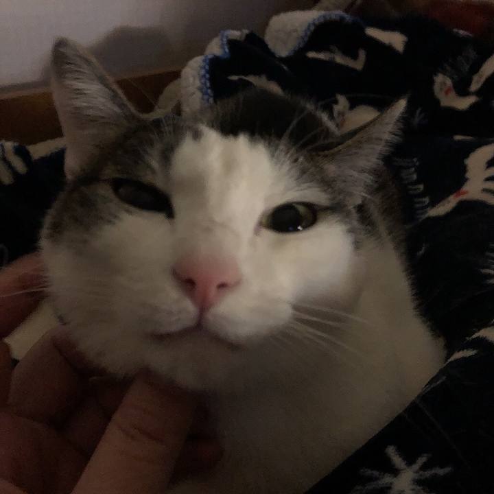 D77427cc 39f7 4270 a7de e5c59c4120aa 1675979637109