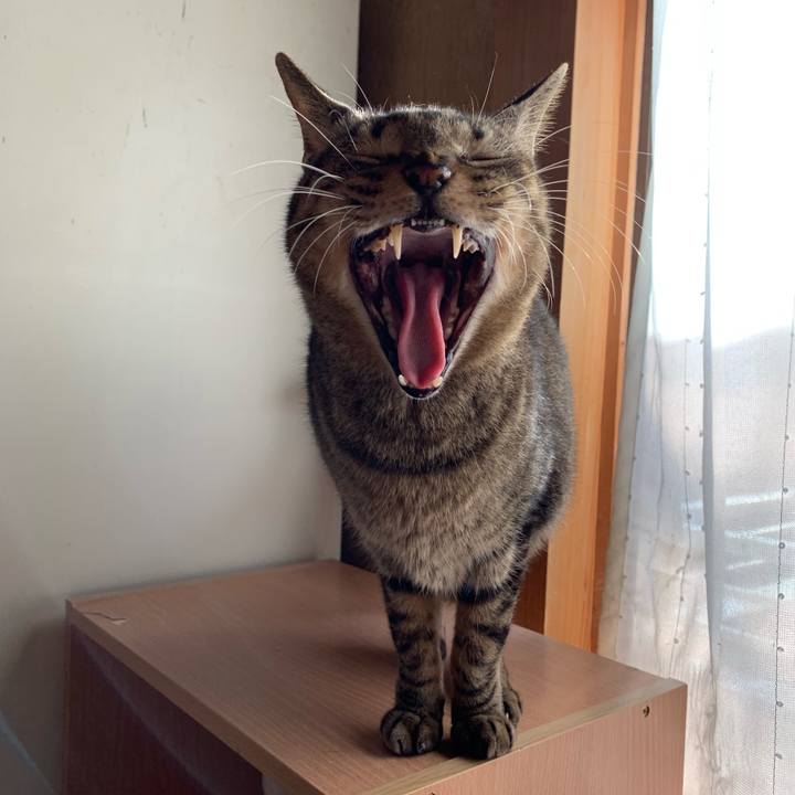 D7744a95 a806 4238 80fc 067a3e386f04 1546305346200