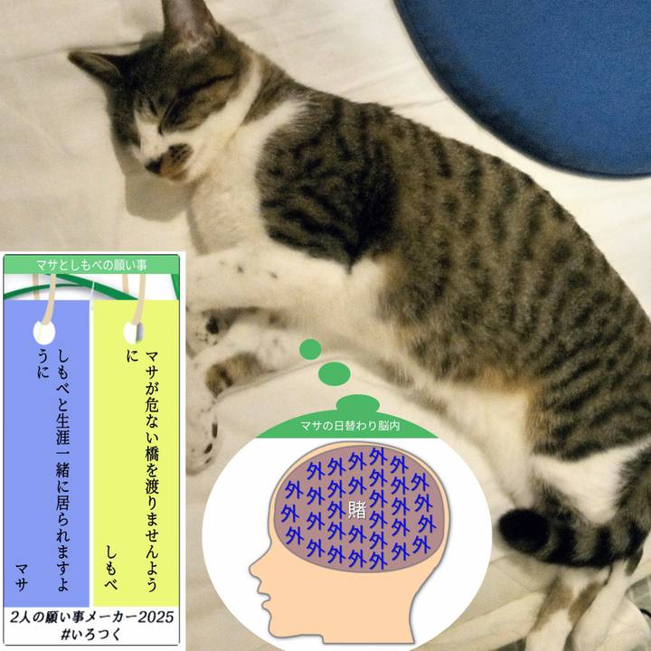 D7748f1f 6005 469f a38b ea784c63855b 1762926368432