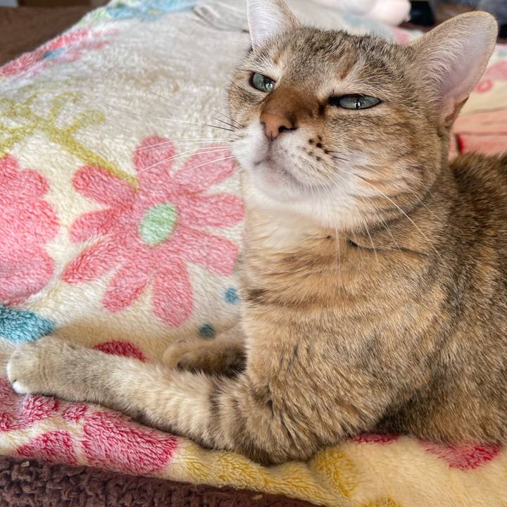 D774ba4a 712c 4bfd bbb8 597a5dee39ec 1769043009159