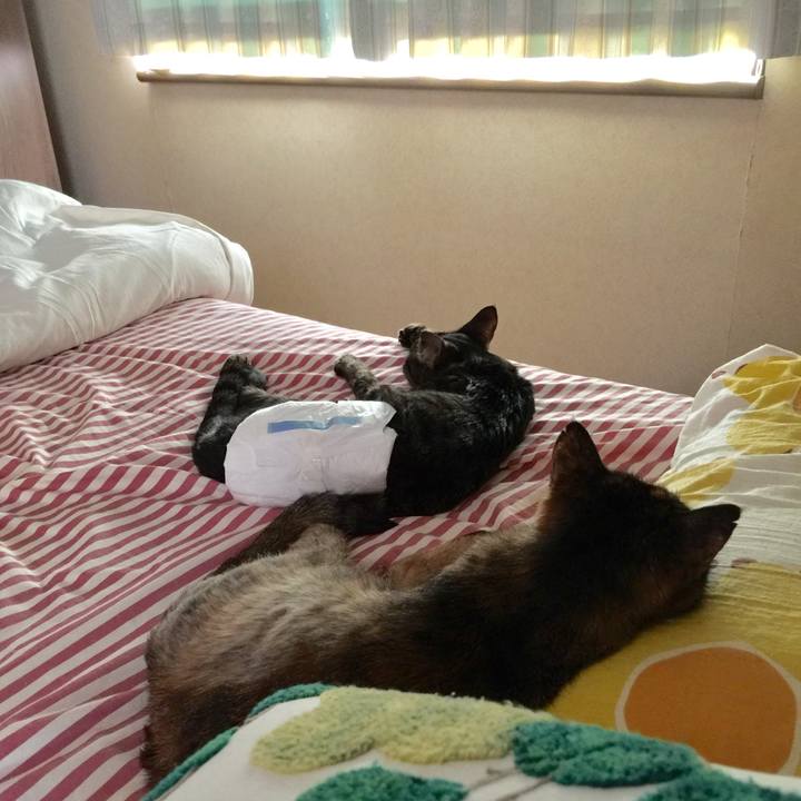 D774e191 8841 4027 920e 83a8b34b2210 1534895277127