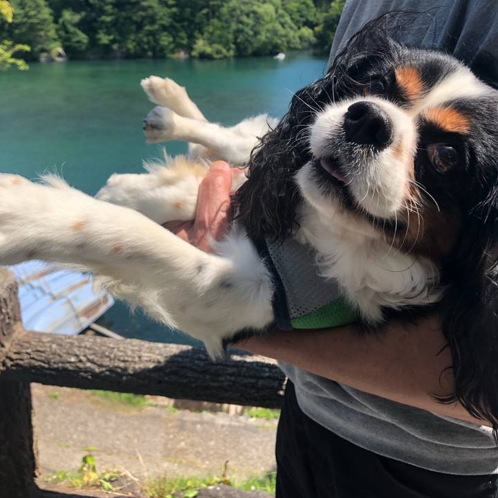 D7751f2e f140 4b0c aeca 73d07daf4995 1564735733407