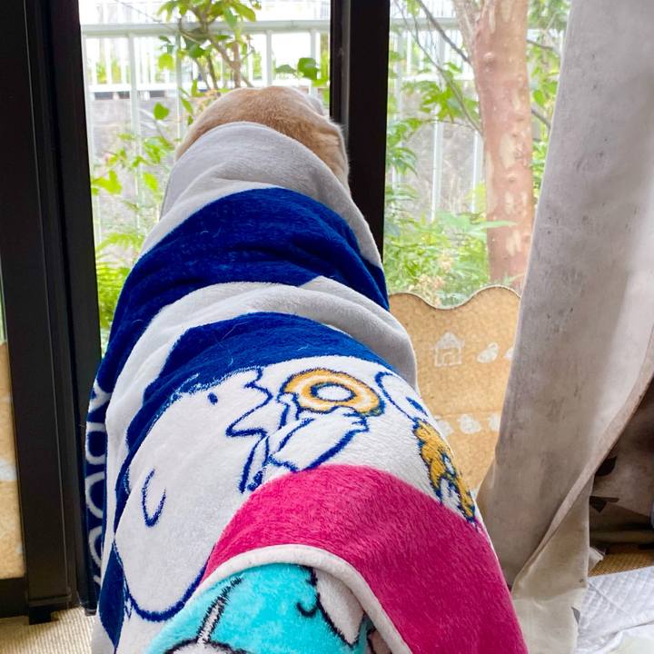 D7752b55 40c3 4a02 b686 d2ff94381563 1635306694770