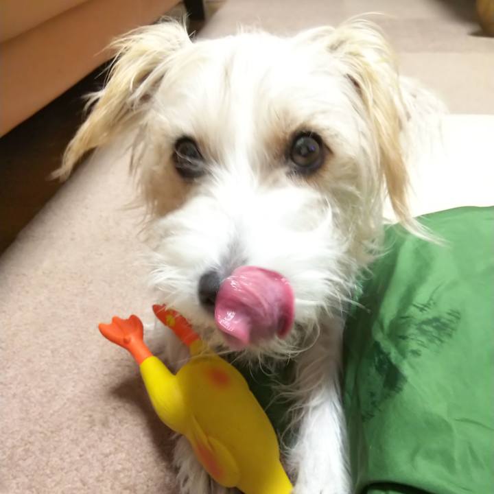 D775411e 5fe4 4569 b32d b792f5d82f1c 1573045257787