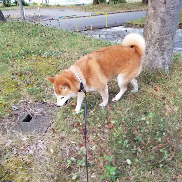 D775b81e cdf4 433a 8b16 c1f387ca8c93 1599552598022