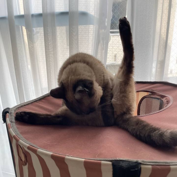 D775b9ee 7767 4b7f a40d 206986d07fc2 1774144828018