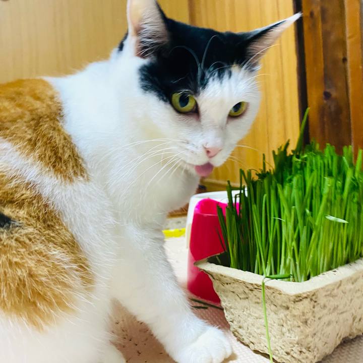 D775be6d 9bc9 4ce2 95a2 2896e92efab6 1694212614411