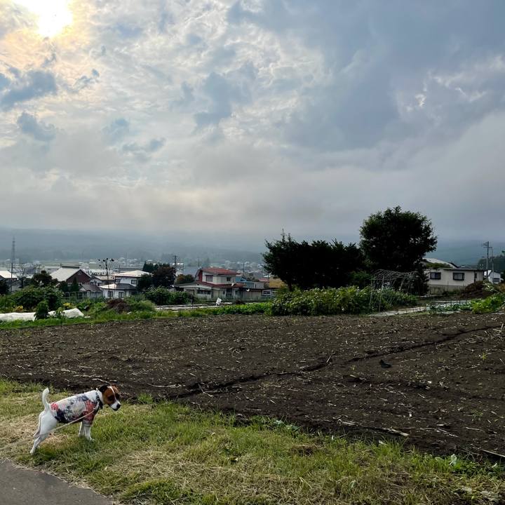 D775ded9 face 4f2d bc7c 01f4643ab86e 1633762067737