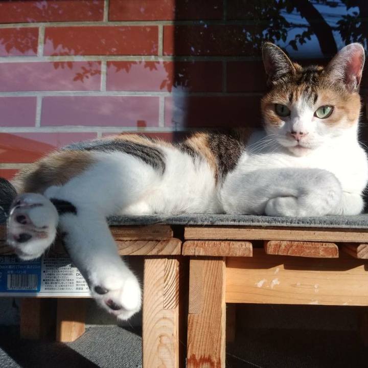 D775ef71 eae3 49d1 b96d 1c5d4ffe746a 1568804190665