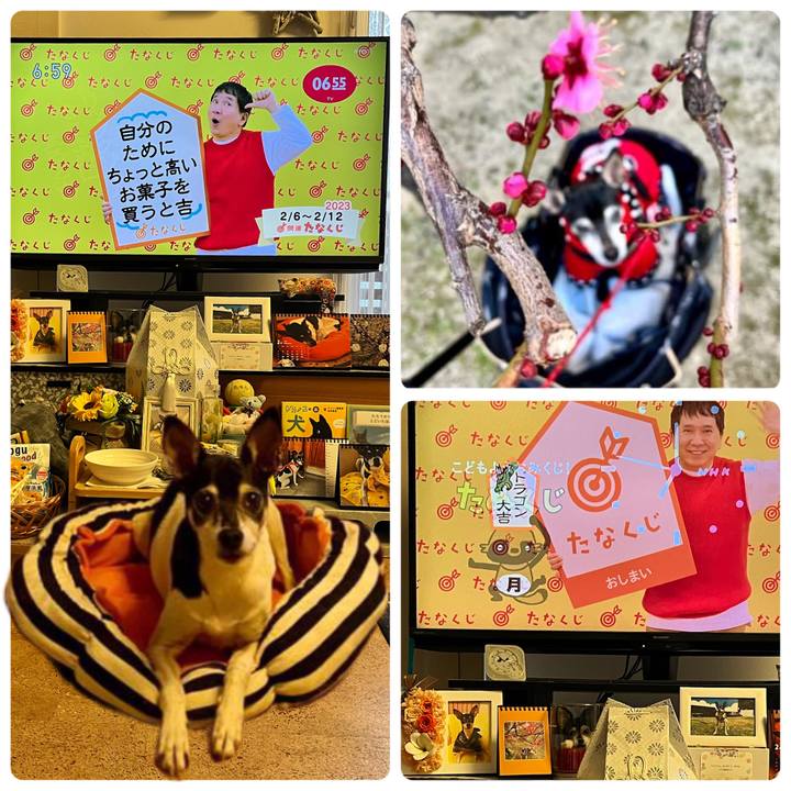 D7760d28 102e 4f10 93f9 cbd355f29a37 1675634732089