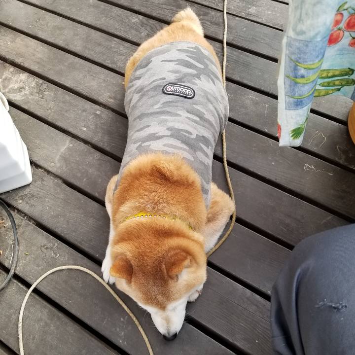 D77669d3 5df3 40f0 a4b0 6d6d8f3ad7d1 1679526611005