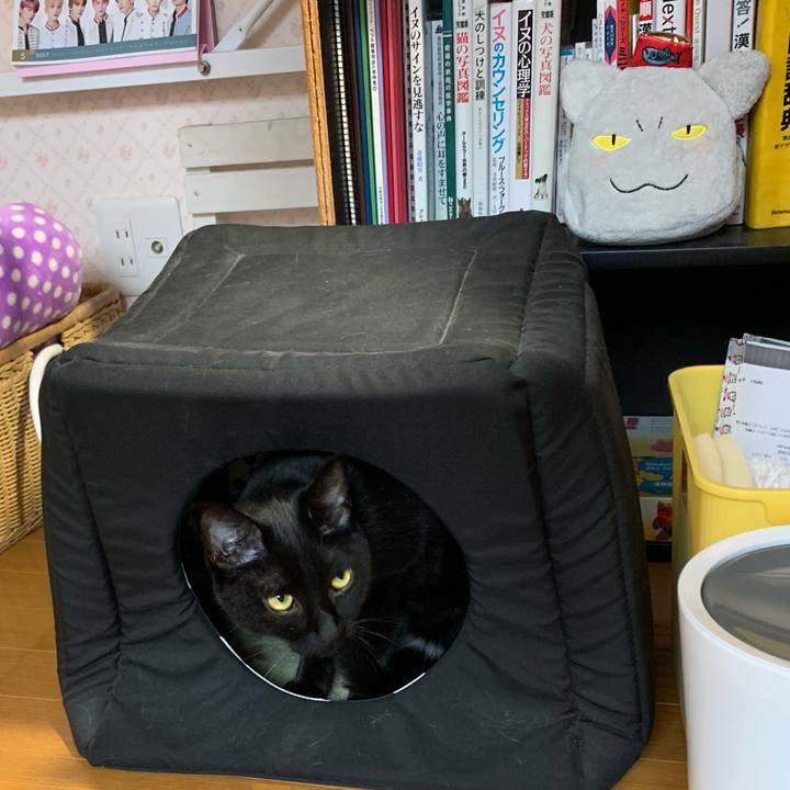 D77682c0 0985 4317 879c 71742d7cb01c 1567297094361