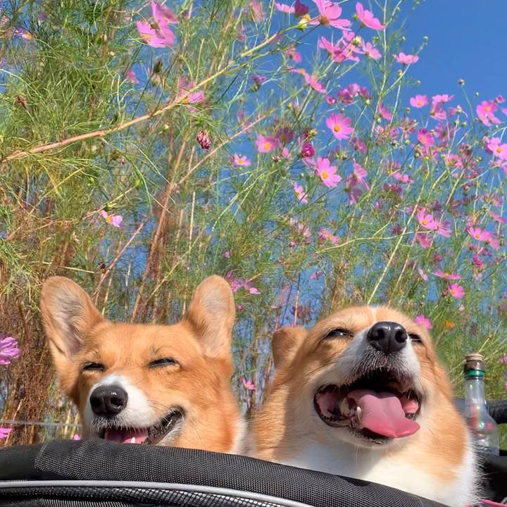 D77699aa e94f 47e7 9e20 d93b272966d5 1632443204290