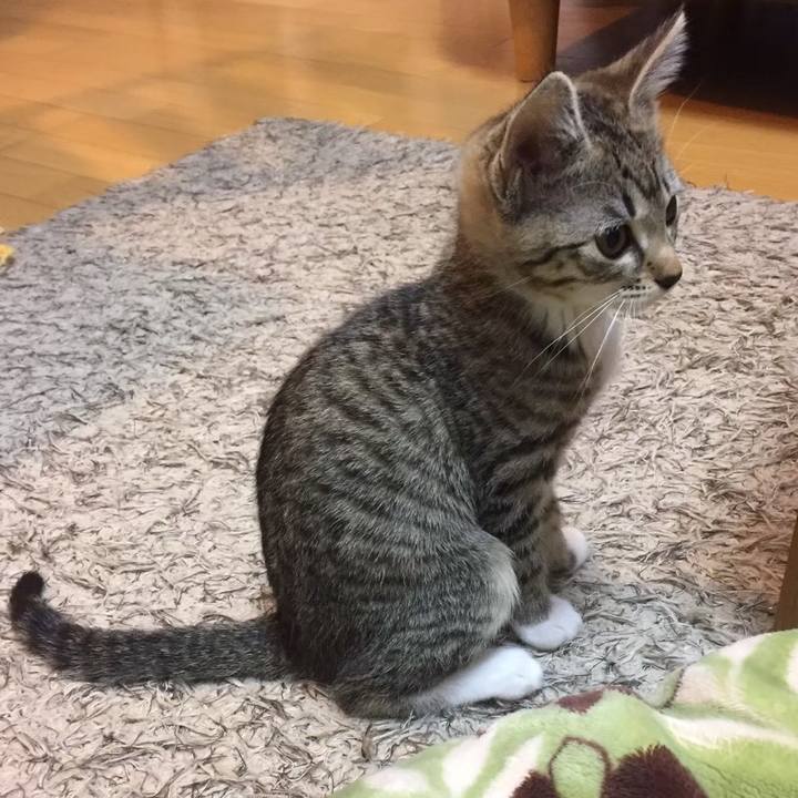 D776de02 cd71 4550 892e c5b8809ed86d 1613658000758