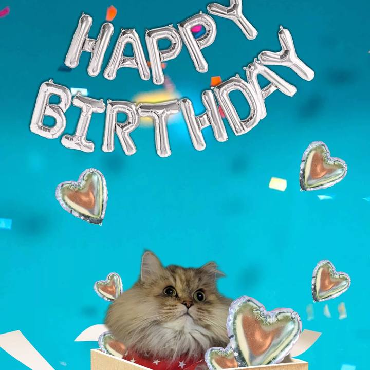 D777545e 83a0 4e56 98c5 c7c7a638105c 1671196843466