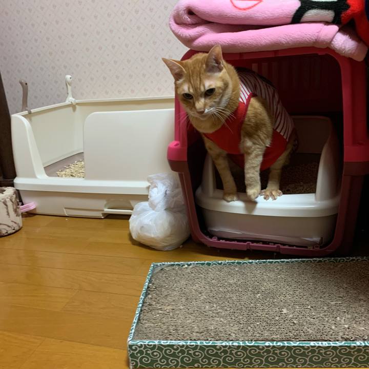 D77758ef 3a57 429e a76b 83bedc68c4bb 1584650894799