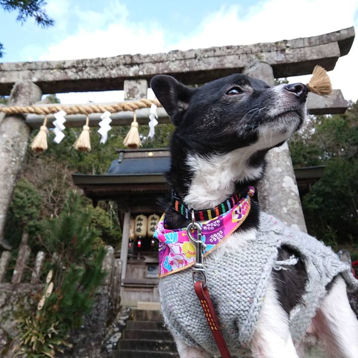 D7776e09 9879 417c 9047 0996eba1e4ee 1577960874080