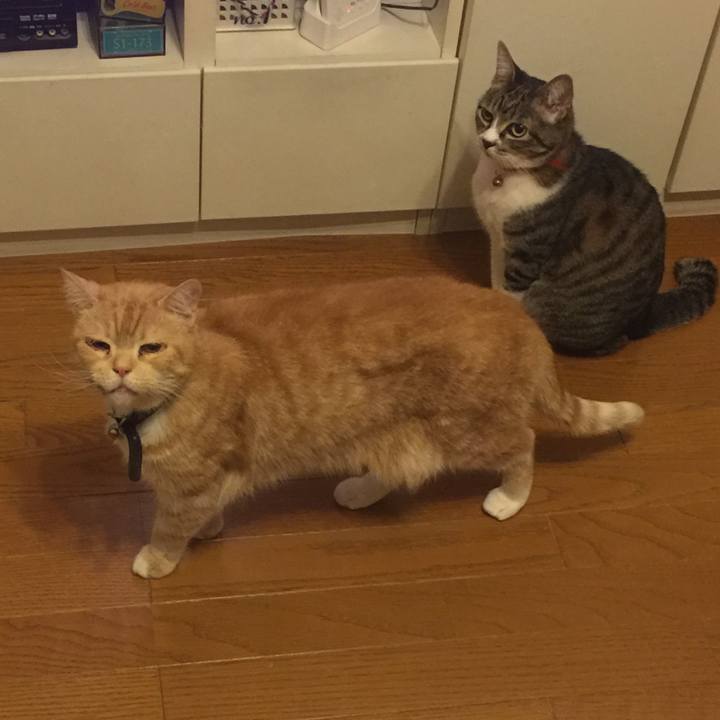 D7779b42 2187 4c2f a484 765b9dc30659 1557068541183